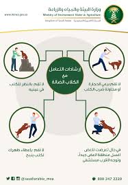 pin by الارشاد البيطري on السعار pie chart map chart