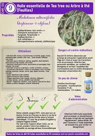Epingle Sur Aromatherapie