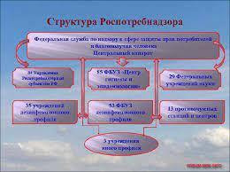 Была основана и открыта в 2004 году указом президента №314 и руководствуется в работе постановлением правительства россии. Rospotrebnadzor Chto Eto Za Organizaciya Chem Zanimayutsya