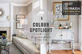 Color Spotlight Benjamin Moore Silver Fox Rowe Spurling Paint Company