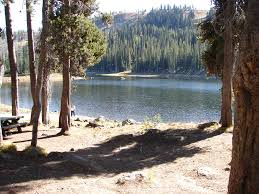 Maybe you would like to learn more about one of these? Wallowa Whitman National Forest Fish Lake Campground