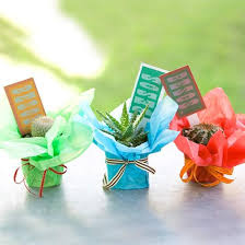 Birthday Party Gifts For Adults Birthday Party Favors For Adults Party Favors For Adults Cactus Party Favors Simple Birthday Party