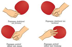 Chop adalah teknik memukul bola dengan gerakan seperti menebang pohon dengan kapak. Jenis Pegangan Bet Dalam Tenis Meja
