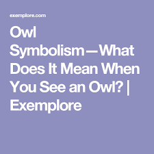 Owl Symbolism What Does It Mean When You See An Owl Exemplore Owl Symbolism Owl Spirit Animal Owl Spirit Animal Meaning