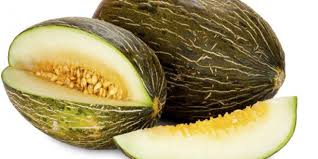 La Culture Du Melon Au Maroc Du Semis A La Plantation