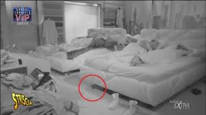 È durata 161 giorni, ed è stata condotta per il settimo anno consecutivo da alessia marcuzzi, affiancata per la quinta e ultima volta da alfonso signorini, nel. Grande Fratello Vip Choc C E Un Topo Nella Casa Gira Nelle Camere Da Letto Il Mattino It
