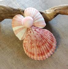 Check spelling or type a new query. Seashell Angels Sea Things Ventura