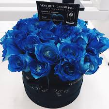 Maybe you would like to learn more about one of these? Blue Roses Love Prosperity Aesthetic Flowers Facebook