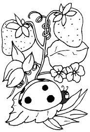 Ladybug Coloring Pages Free Printables Momjunction Bug Coloring Pages Ladybug Coloring Page Insect Coloring Pages