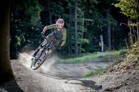Bikepark Winterberg Www Bike Arena De