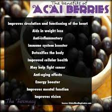 Benefits Of Acai Berries Acai Berry Benefits Acai Benefits Health And Wellness