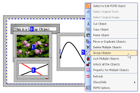 Download and run the cigati pdf file unlocker. Pdfill Group And Ungroup Lock And Unlock Objects