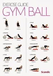 Useful Information Exercise Guide Gym Ball Exercises For