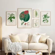 Image result for Oxyanthus speciosus