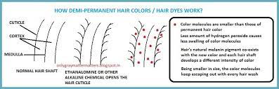 How Demi Permanent Hair Colors Work Permanent Hair Color Demi Permanent Hair Color Temporary Hair Color