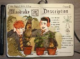 Patreon Harry Potter Tekeningen Harry Potter Fan Art Harry Potter Boeken