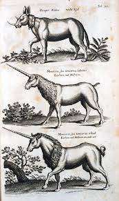 Einhorner Im Mittelalter Fabelwesen Einhorn Illustration