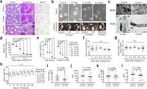 Our currency rankings show that the most popular moldovan leu exchange rate is the mdl to eur rate. Triptonide Is A Reversible Non Hormonal Male Contraceptive Agent In Mice And Non Human Primates Nature Communications