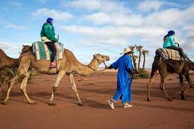 #where it's flat and immense and the heat is #and the sand in the glass is right#. Marrakech Camel And Quad Biking Tour With Moroccan Lunch 2021