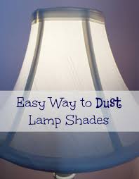 Tom's honeycomb tail feathers are vibrant shades of purple, red, yellow and orange. Easy Way To Dust Lamp Shades Lemons Lavender Laundry