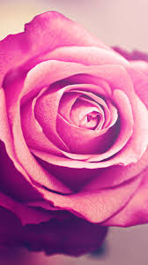 30 Best Iphone 6 Wallpapers Amp Backgrounds In Hd Quality Flower Iphone Wallpaper Beautiful Wallpapers For Iphone Iphone 6 Wallpaper Backgrounds