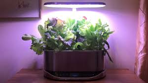 The tomato care should be really simple and should not require much maintenance. Aerogarden Bounty Elite Review 2020 Pcmag Uk