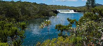 What hotels are near aquarium des lagons nouvelle caledonie? Resultats Annuels 2019 De L Afd En Nouvelle Caledonie Afd Agence Francaise De Developpement