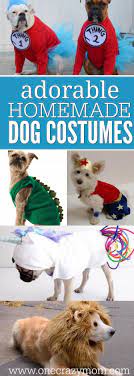 Homemade Dog Costumes 15 Diy Costumes For Your Dog Pet Costumes For Dogs Diy Dog Costumes Dog Halloween Costumes