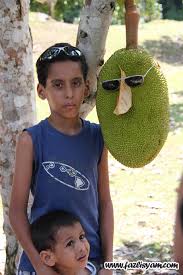 Air terjun telaga tujuh 3. Taman Agro Teknologi Mardi Tempat Menarik Di Langkawi Tempat Menarik