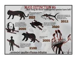 Extinction Endangered Species Endangered Endangered Animals
