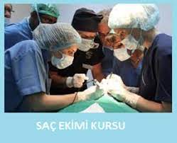 Sac Ekimi Egitimi Kursu Sertifikasi Sac Ekimi Destek