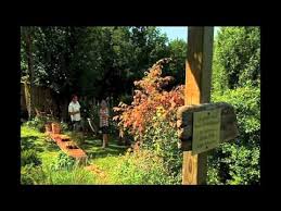 1/4 pound fresh mozzarella, sliced. Natur Im Garten Ein Lebendiger Ruhepol Sendung V 7 10 2012 Youtube