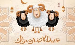 فرض كفاية عند الحنابلة، والإمامية، وسنة مؤكدة عند المالكية، والشافعية؛ وواجبة عند الحنفية. ÙˆÙ‚Øª ØµÙ„Ø§Ø© Ø§Ù„Ø¹ÙŠØ¯ ÙÙŠ Ø¨Ø±ÙŠØ¯Ø© 1441 Ù…ÙˆØ§Ø¹ÙŠØ¯ ØµÙ„Ø§Ù‡ Ø¹ÙŠØ¯ Ø§Ù„Ø§Ø¶Ø­Ù‰ Ø¨Ø±ÙŠØ¯Ù‡