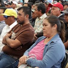 Apoyo Bienestar Hombres y Mujeres 18-64 Años Abre Registro en Junio 2026: Fechas y Requisitos