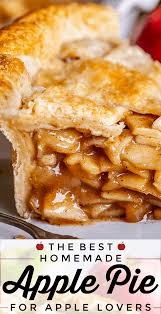 The Best Homemade Apple Pie From The Food Charlatan I Used To Be A Total Apple Pie Hater Dessert Pie Recipes Apple Pie Recipe Easy Apple Pie Recipe Homemade