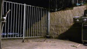 According to the class action, the plaintiffs alleged that defendants' pest repellers do not repel pests as claimed. Unbiased Review Of Ultrasonic Rat And Insect Pest Control Device Is It Really What They Say It Is Youtube