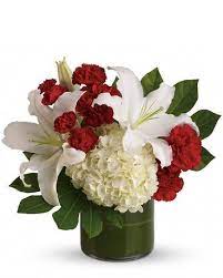 Maybe you would like to learn more about one of these? Sympathy Bouquets Delivery Greenwich Ct Old Greenwich Flower Shop