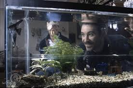 A Fish Called Wanda (1988) - IMDb