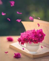 عکس پروفایل شاخ دخترونه بدون متن + عکس پروفایل دخترونه لاکچری بدون متن