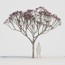 10 Frangipani 6 Frangipani 10 Things Letter Logo