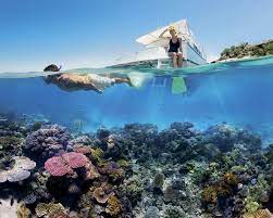 Spf 15 sunscreen blocks 93% of uvb rays. Reef Safe Sunscreen What You Need To Know Chasing Coral
