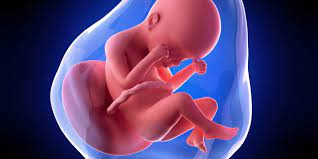 Edingt dadurch ist nicht immer gleich erkennbar, wann bzw. Was Tun Wenn Die Fruchtblase Geplatzt Ist