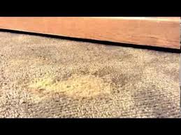 In this carpets need to be well maintained and problems need to be fixed as soon as possible. How To Repair Burn In Carpet Youtube