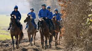 Top trainer colin tizzard will retire at the end of the season and hand his licence over to his son joe. Colin Tizzard Runs The Rule Over His Cheltenham Festival Team Horse Racing News Racing Post