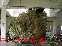 「中城高原ホテル」の画像検索結果