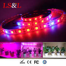 China Led Grow Light Strip Rope String Light Manufacturer China Led Plant Grow Light Led Grow Lights