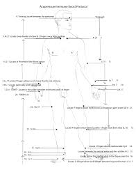 Boost Your Immune System At Home With Acupressure Mph Blog