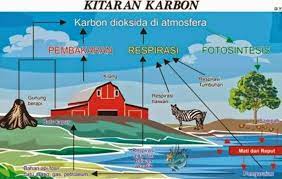 Muat turun nota nota sains: Kitar Karbon