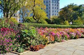 Maybe you would like to learn more about one of these? Find Your Favorite Spring Blooms In Central Park With A Map And Interactive Guide 6sqft