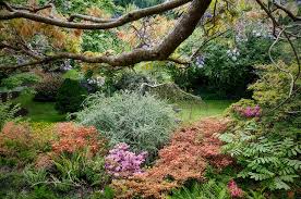 How to garden on a hill. Welcome To Darts Hill Garden Located In Surrey Bc